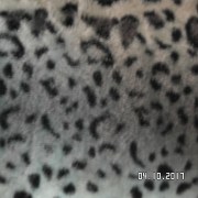 SAM_3615