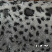SAM_3616