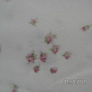 SAM_3620