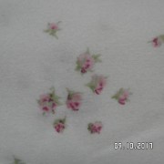 SAM_3621