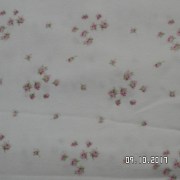 SAM_3622