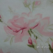 SAM_3623