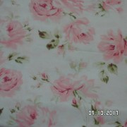 SAM_3624