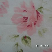SAM_3626