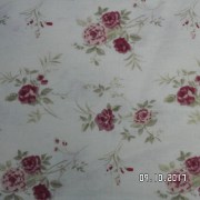 SAM_3627