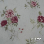 SAM_3629