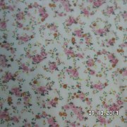 SAM_3634