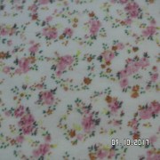 SAM_3635