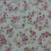 SAM_3636