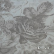 SAM_3640