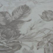 SAM_3642