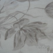 SAM_3644