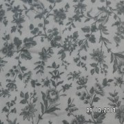 SAM_3679