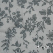 SAM_3680