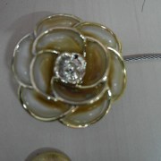 SAM_3763