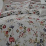 SAM_4310
