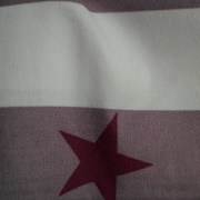 SAM_4329