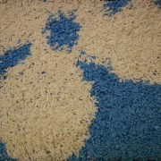 _sam00237
