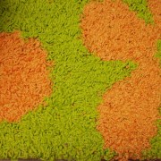 _sam00243