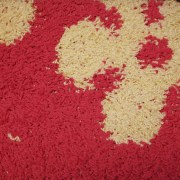 _sam00267