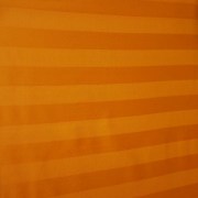 _sam04032
