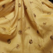 _sam0970