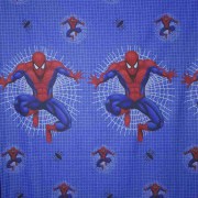 ak-118-sentoni-spiderman32