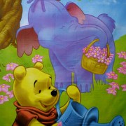 ak-139-set-disney-winnie