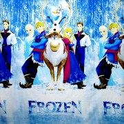 ak-140-frozen-sentonia24