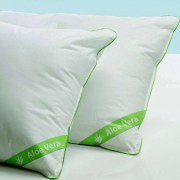 aloe-vera-1