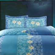 ay-104-sentonia-set-yperdiplo-nima