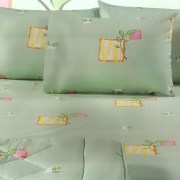 ay-110-sentonia-set-yperdiplo-nima
