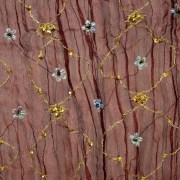ce-716-leptomereia-3
