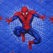 ck-101-couverli-spiderman-150x230