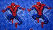 ck-101-kouverli-spiderman-150x230