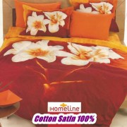 dy-106-thiki-yperdipli-homeline