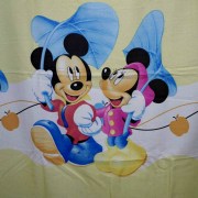 e-207-disney-kourtina8
