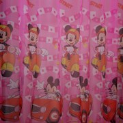 e-211-kourtines-mickey