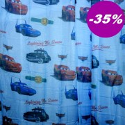 e-287-dipli-kourtina-cars9