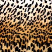 f-305-fleece-dipli