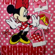 fb-119-fleece-minnie