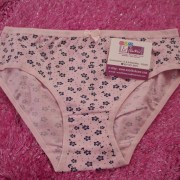 sam_00635