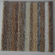 sam_008034