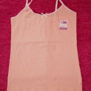 sam_0106