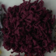 sam_01091