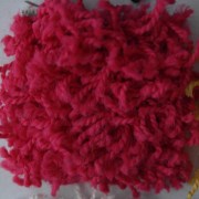 sam_01193