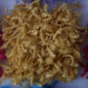 sam_01213