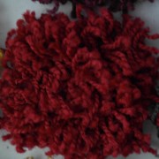 sam_01237