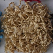 sam_0130