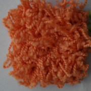 sam_01335